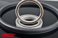 강철 스프링 에너자이징 PTFE 테플론 씰