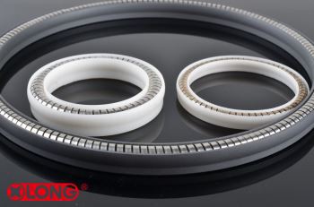 PTFE 스프링 에너자이징 유압 피스톤 씰