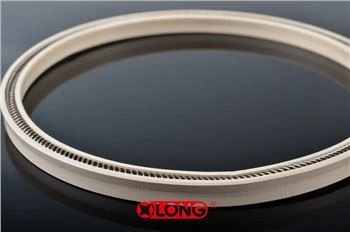 PTFE 스프링 에너자이드 로타리 립 씰